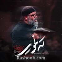 تصویر حاج محمدرضا بذری - ته نمویی