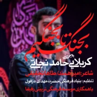 سایر ذاکرین
