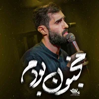 مجنون بودم