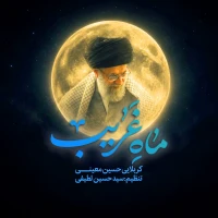 سایر ذاکرین