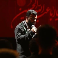 سایر ذاکرین