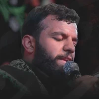 سایر ذاکرین