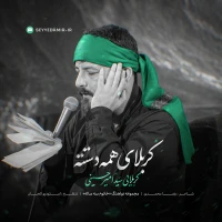 سید امیر حسینی