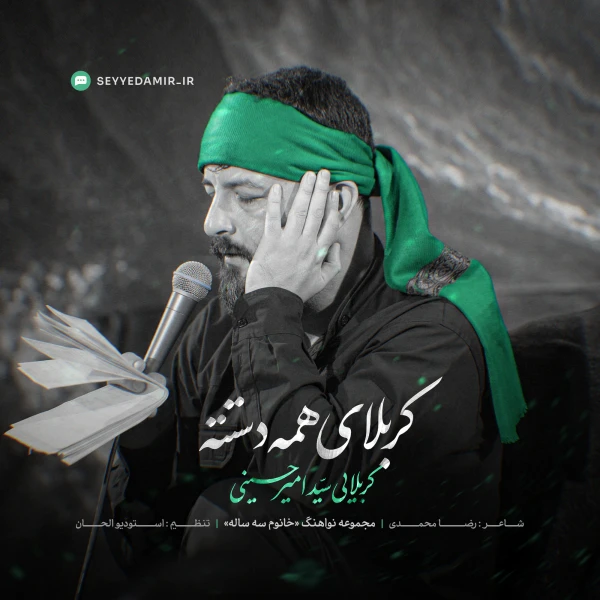 تصویر سید امیر حسینی - کربلای همه دستته خانوم سه ساله