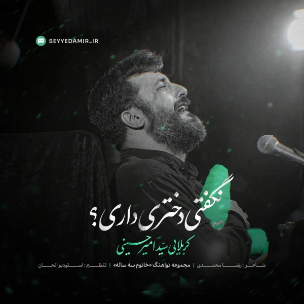 تصویر سید امیر حسینی - نگفتی دختر داری؟