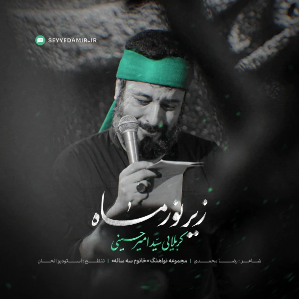 تصویر سید امیر حسینی - زیر نور ماه