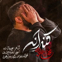 تصویر محمدحسین حدادیان - قنداقه
