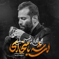 امیر برومند