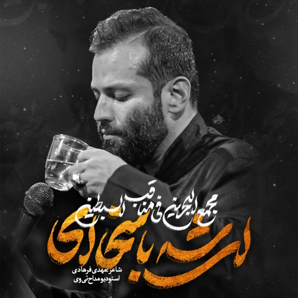 تصویر امیر برومند - ای شه با سخا ای