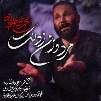 محمدحسین حدادیان