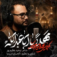 سایر ذاکرین