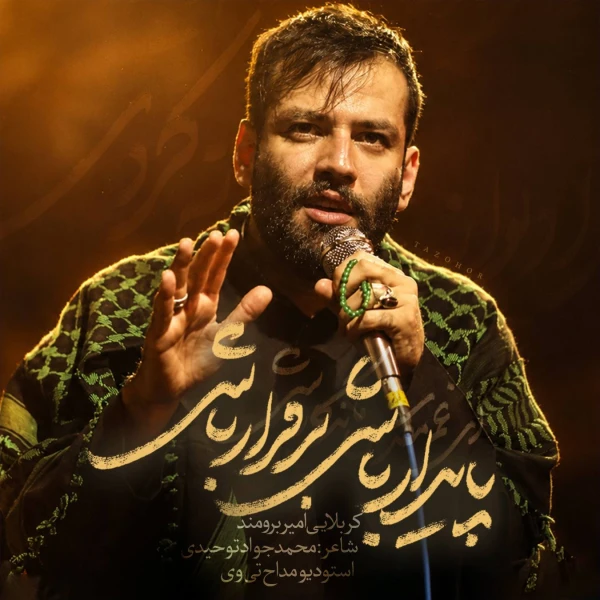 تصویر امیر برومند - پایدار باشی برقرار باشی