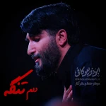 دلم تنگه