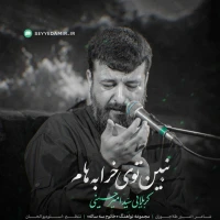 تصویر سید امیر حسینی - نبین توی خرابه‌هام
