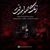 سید امیر حسینی