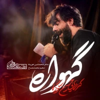حسین ستوده