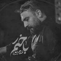 محمد ابراهیمی اصل