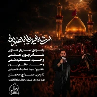 تصویر مازیار طاولی - ای شاه غیور یااباعبدالله
