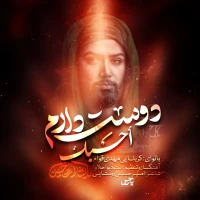 سایر ذاکرین