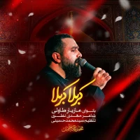 تصویر مازیار طاولی - کربلا کربلا
