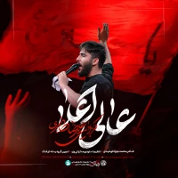 سایر ذاکرین