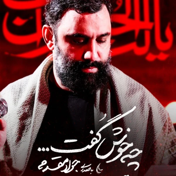 تصویر جواد مقدم - چه خوش گفت