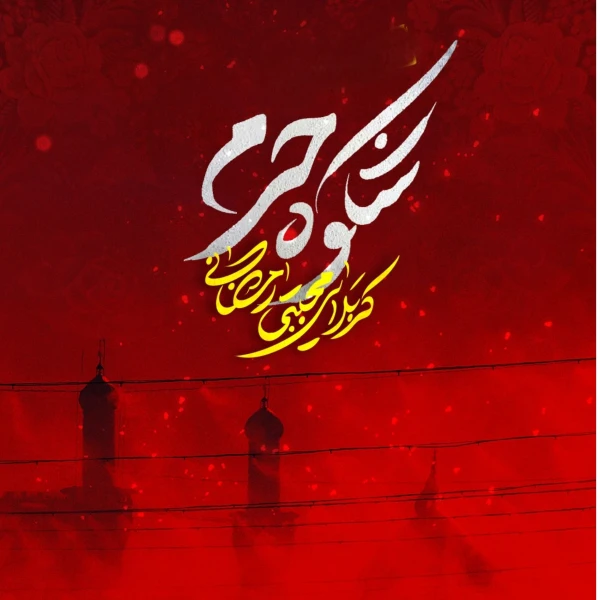 تصویر مجتبی رمضانی - شکوه حرم