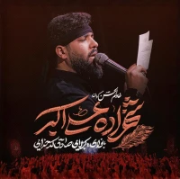سایر ذاکرین