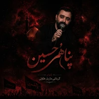 مازیار طاولی