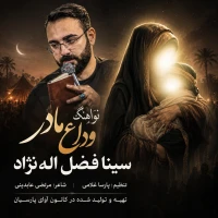 سینا فضل اله نژاد