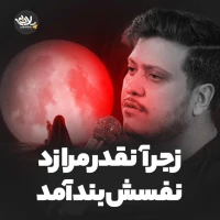 زجر آنقدر مرا زد نفسش بند آمد