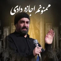 ممنونم اجازه دادی