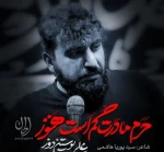 حرم مادرت گم است هنوز