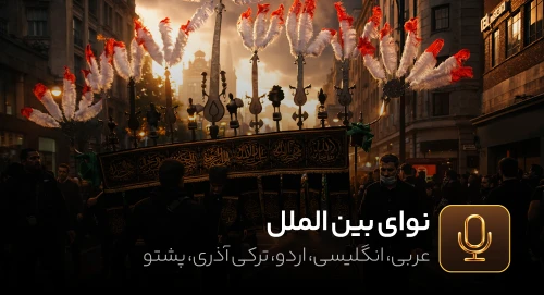 سایر زبان‌ها