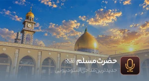 مسلم بن عقيل (ع)