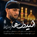 امید دل‌ها